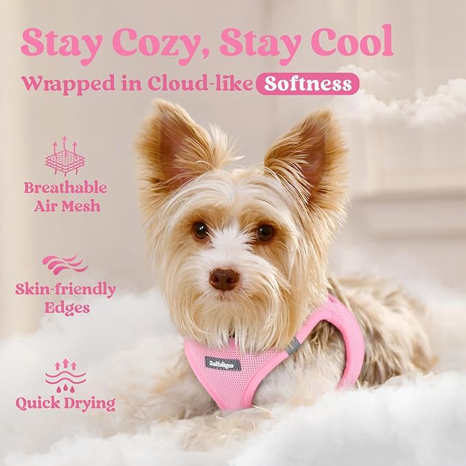rabbitgoo Small Dog Harness, Step-in Soft Mesh Puppy Vest with Safety Buckle, Breathable Reflective Pet Harness for Small Sized Dogs, Light Pink S