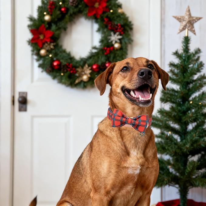 DOGWONG Christmas Dog Collar with Bow Tie, Red Green Plaid Dog Collar Durable Metal Buckle Adjustable Soft & Cute Red Checkered Dogs Collars for Small Medium Large Dogs, M
