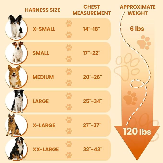 Bark Appeal Gray No-Pull Dog Harness for Small to Medium Sized Pets – Adjustable, Reflective Vest with 3 Leash Clips for Added Control, Easy Walks & Training – M