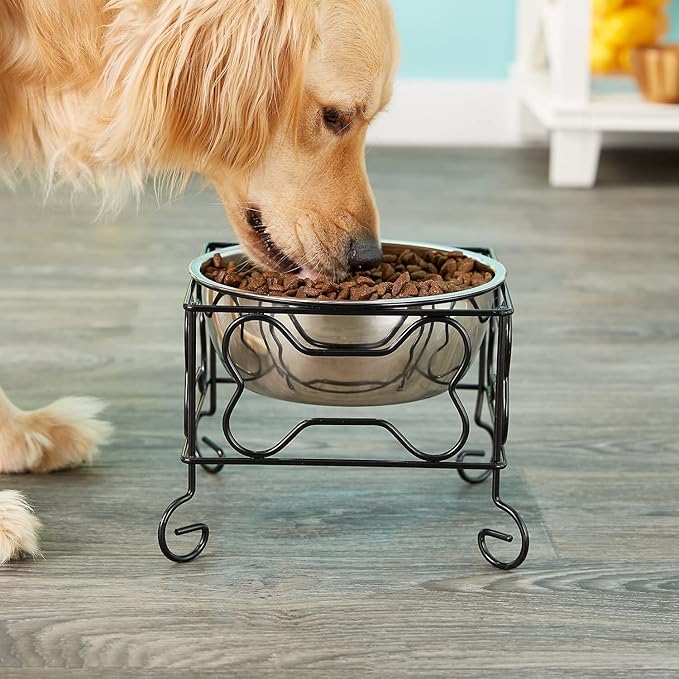 Wrought Iron Stand with Single Stainless Steel Bowl Size: Medium (7" H x 9.5" W x 9.5" D)