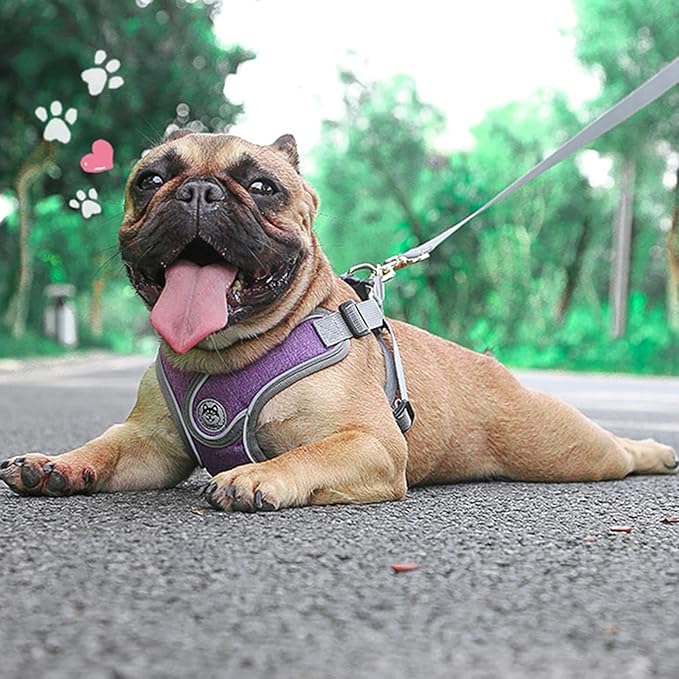 Medium Dog Harness and Leash Set,No Pull Adjustable Step in Soft Mesh Vest Harness,Easy Walk Reflective Pet Harness with Padded Handle for Walking Training Small Medium Large Dogs and Cats (Purple, M)