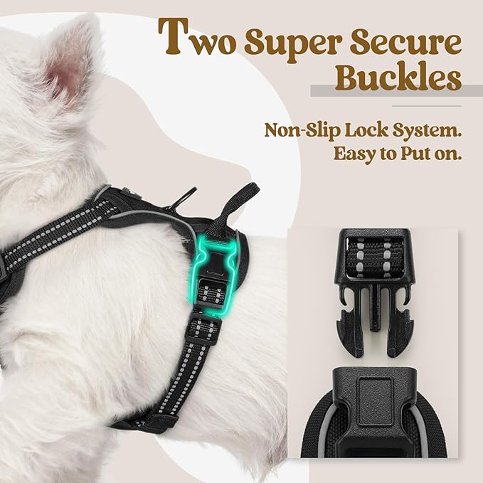 rabbitgoo Dog Harness No Pull with 2 Leash Clips, Adjustable Soft Padded, Reflective Oxford No Choke Pet Vest with Easy Control Handle for Puppy, Black, XS