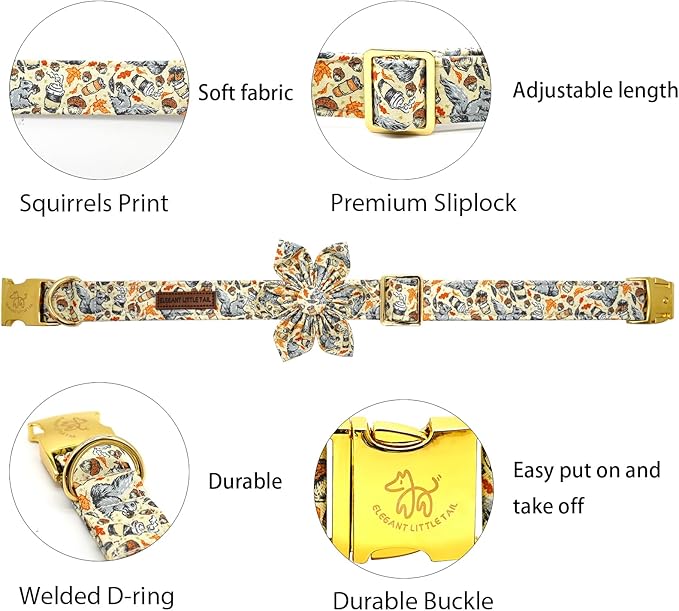 Elegant Little Tail Fall Squirrel Print Dog Collar with Soft Durable Flower Pet Collar for Small Dogs