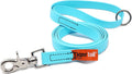 Tiger Tail 4FT Sky Blue Premium Coated Nylon Dog Leash for Large Medium & Small Dogs - Waterproof and Odor Proof, Alternative-Leather Lead | Sky Blue, 4ft