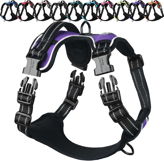 VIVAGLORY Dog Harness Easewalk No Pull Dog Harness with Handle Front Clip & Back Clip for Training Walking Lifting, No Pull Adjustable Easy On Padded Comfortable for Pet, XS, Purple - Plain