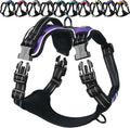 VIVAGLORY Dog Harness Easewalk No Pull Dog Harness with Handle Front Clip & Back Clip for Training Walking Lifting, No Pull Adjustable Easy On Padded Comfortable for Pet, M, Purple - Plain