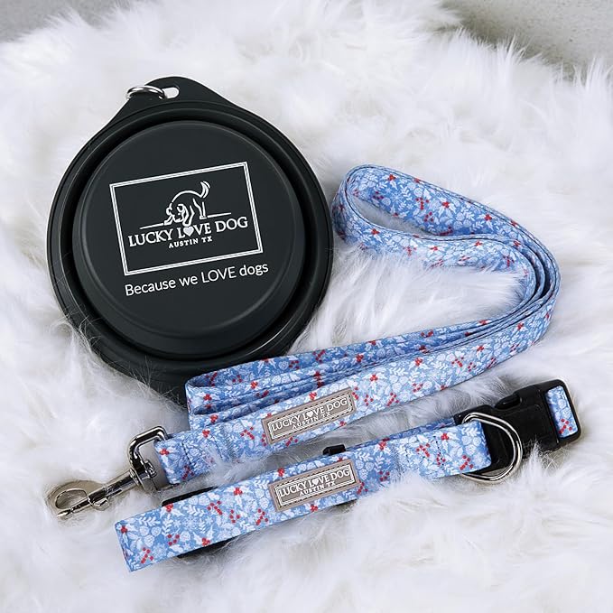 Lucky Love Dog Martingale Dog Collar - Adjustable, No-Slip, Durable, & Soft Webbing Collar for Male and Female Dogs Ideal for Training & Walking - Winterblue, Medium