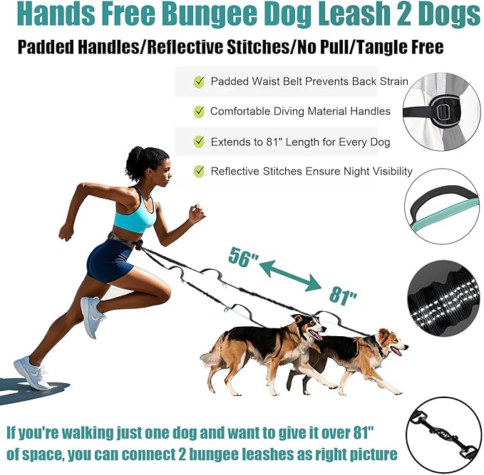 Hands Free Dog Leash with Pouch, Crossbody & Waist Leash for Dog Walking, No Pull Heavy Duty Bungee, Padded Handles & Reflective for Large Medium Dogs, Black Blue
