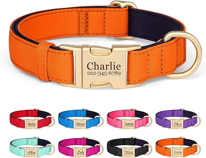 PET ARTIST Colorful Personalized Dog Collars, Custom Dog Collar with Silent Engraved ID Tag, Lightweight Breathable Nylon & Soft Padded, Matching Leash & Poop Bag for Large Dogs,Orange,L Fit 15-23"