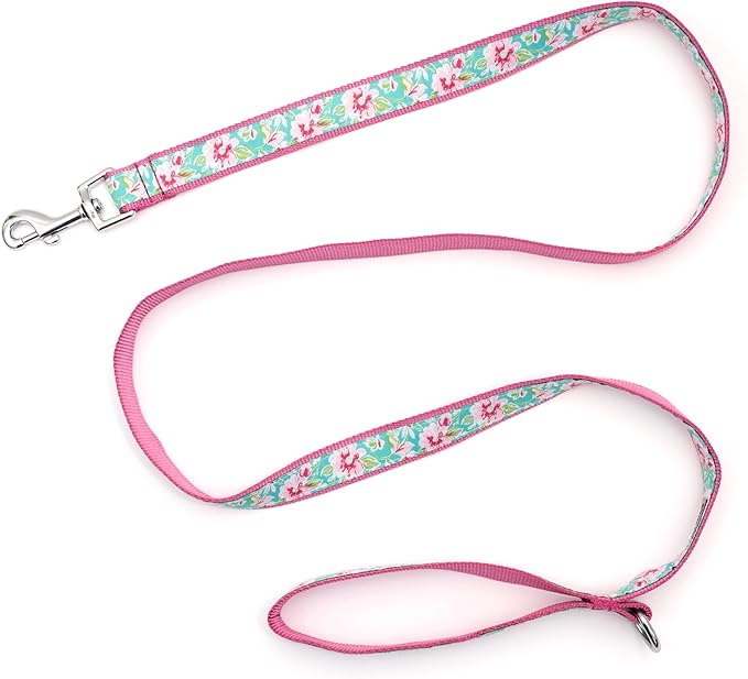 THE WORTHY DOG 5 FT Nylon Dog Leash for Medium to Large Dogs, Metal Quick Clip, Watercolor Floral Pattern, Teal, Large