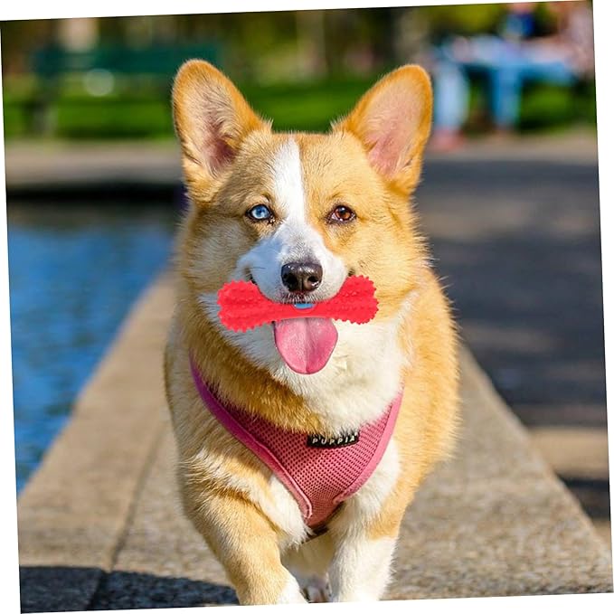NOLITOY 2pcs Creative Dog Chew Toy Squeaky Interactive Toy for Teeth Cleaning Funny Sound Adorable Design for Pet Playtime No Rope Included for Chewers