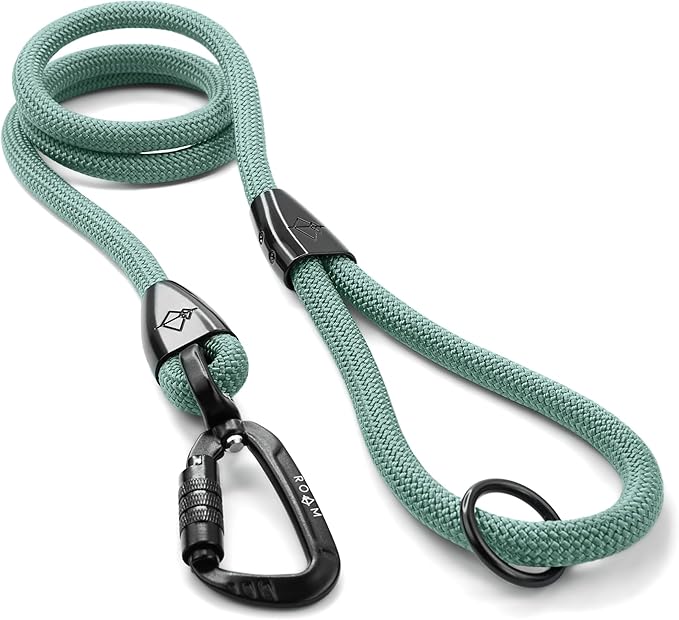 MADE TO ROAM Premium Explorer Leash - Climbing Rope Leash with Autolocking Aviation Aluminum Carabiner - Florida Seaside, 4ft