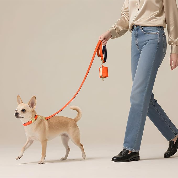 Didog Soft Padded Dog Collars for Small Dogs, Colorful and Durable Dog Collar with Quick Release Buckle, Light and Breathable for Daily Walking, Orange, S