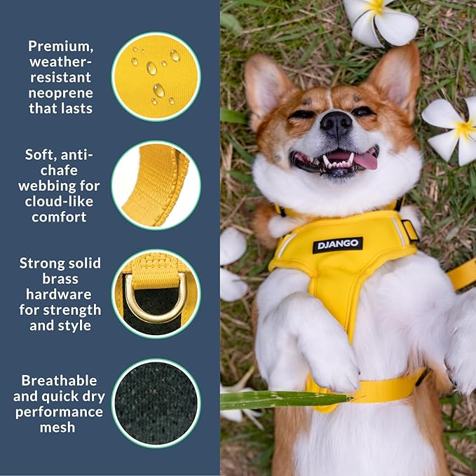 DJANGO Adventure Dog Harness - Stylish Medium Dog Harness for Outdoor Adventures and Everyday Wear - Dandelion Yellow Neoprene Adjustable Harness for Dogs with Reflective Piping and Solid Brass D-ring