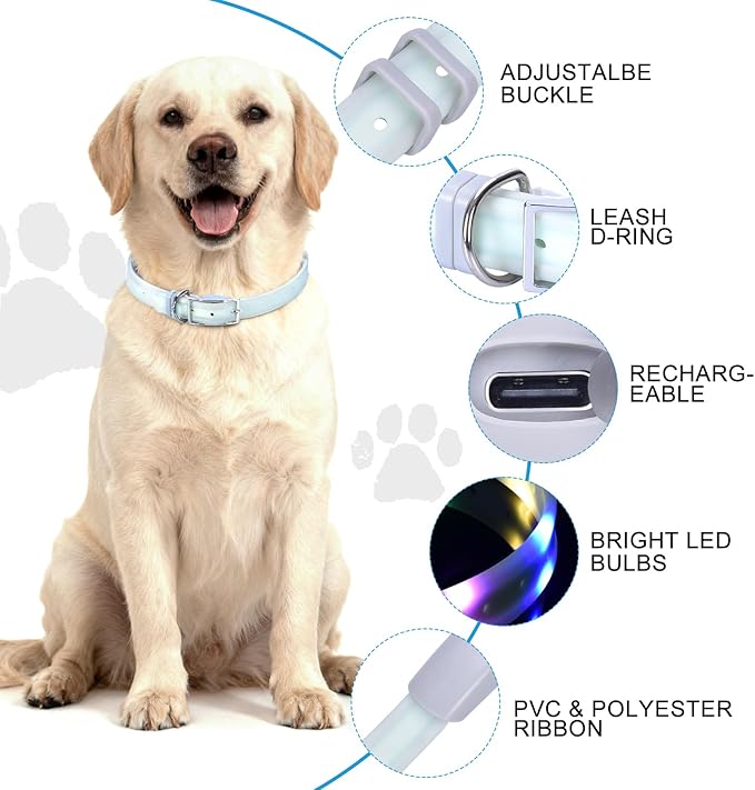Lighted Dog Collar, Rechargeable Light Up Pet Collar, Waterproof LED Dog Collar Glow in The Dark, Make Pet Visible and Safety for Night Walking for Small Medium Large Dogs (Rainbow)