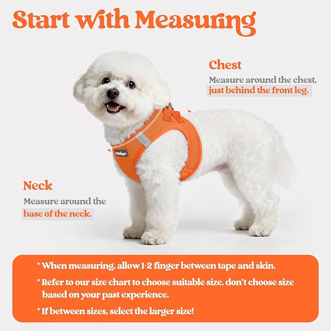 rabbitgoo Dog Harness Small Sized and Leash Set, Step in Soft Light Puppy Vest, Breathable Mesh Pet Harness, Reflective for Safe Easy Walking, Orange M