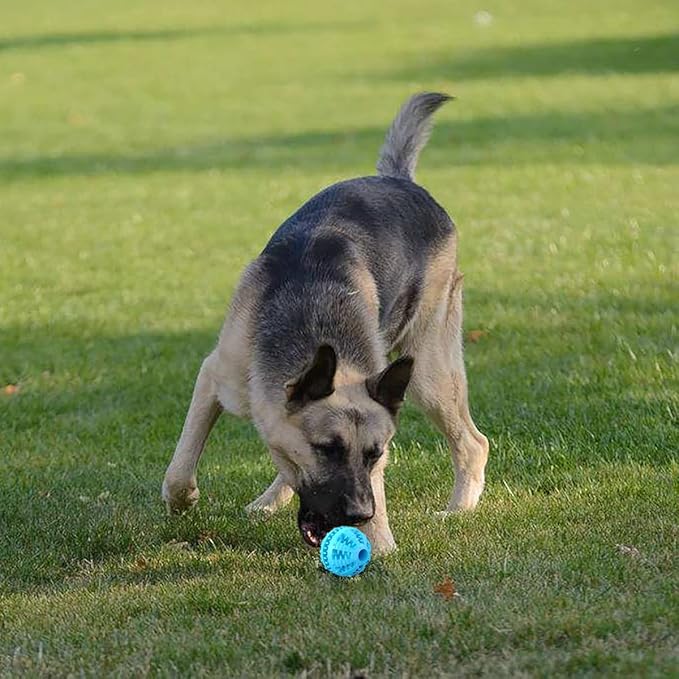 2 Pcs Dog Toy Teeth Ball,Dog Puzzle Toy,Treat Dispensing Dog Toys,Non Toxic Tear Resistant Natural Rubber Toy Ball for Pet Teeth Cleaning/Chewing/Playing/Training (Blue+Blue, 3.15in)