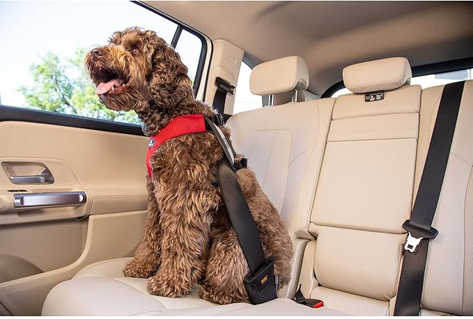 Clickit Sport Plus - Crash-Tested and Safety Certified Car Seat Belt Harness for Dogs (Extra Large, Olive Green)