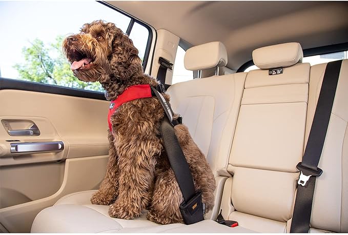 Clickit Sport Plus - Crash-Tested and Safety Certified Car Seat Belt Harness for Dogs (Medium, Jet Black)