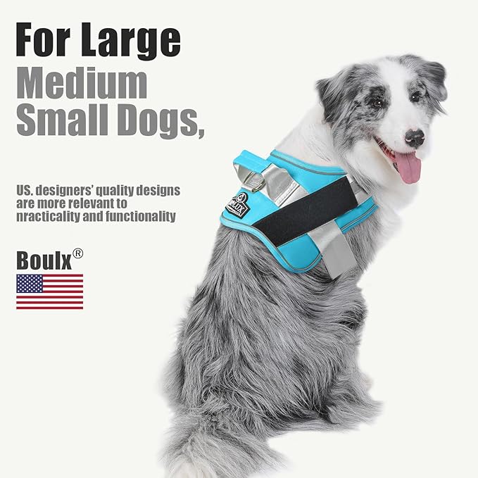 Bolux Dog Harness, No-Pull Reflective Dog Vest, Breathable Adjustable Pet Harness with Handle for Outdoor Walking - No More Pulling, Tugging or Choking (OceanicBlue, X-Small (Pack of 1))