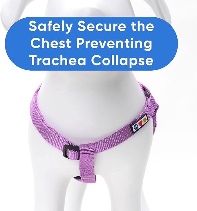 Pawtitas Solid Step-in Dog Harness – Adjustable No-Pull Vest for Puppies to Seniors, Safe & Comfortable M Orchid