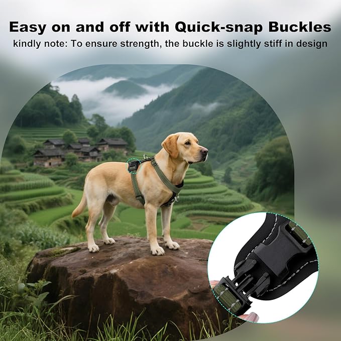 Plutus Pet Adjustable No Pull Dog Harness with Leather Accents, Heavy Duty Reflective Nylon Vest for Training, Hiking, Easy Walk Harness for Small, Medium, Large Dogs (Ranger Green, XL)