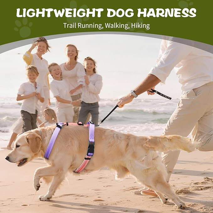 Dog Harness,Adjustable No Pull Dog Harness,Y-Shaped Design,Buckle-Neck Balance Harness with Reflective, Ideal for Dog Training Hiking, Easy Walk Harness,Durable High-Tensile Nylon Pink-S