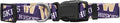 Texas Christian University Pet Team Collar