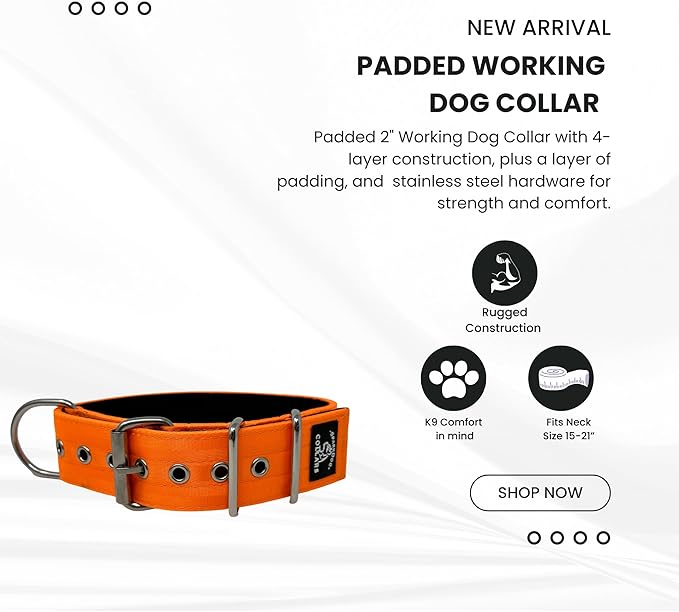 SparkDog Collars Working Dog Collar - 2" 4ply Padded Dog Collar Heavy Duty Stainless Steel Tactical Seatbelt Wide Buckle Collar (Orange 2.0, 16-21" Large)