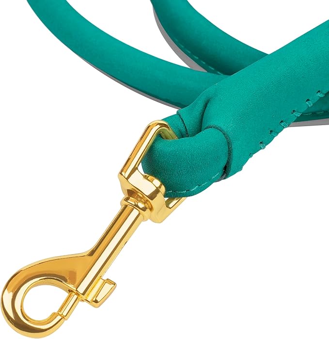 OOPSDOGGY Reflective Rolled Leather Dog Leash 6ft - Soft Training Lead for Small Medium Large Dogs Puppy - Heavy Duty Rope Puppies Leashes for Outdoor Walking Running (Teal, Small)