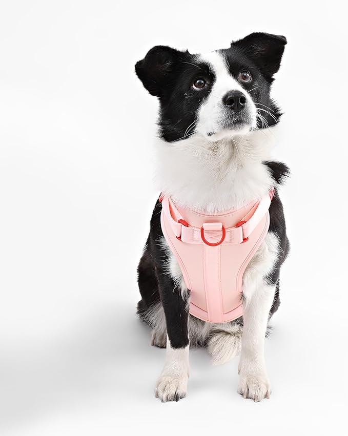 HNS1003G Arlo Large Adjustable Soft Padded No Pull Pet Harness with 3 Buckles and 3 Leash Clips, Paloma
