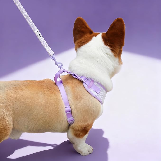 5 FT Stylish Dog Leash, Soft Dog Leashes with Comfortable Padded Handle, Metal Carabiner Clip, Strong No Pull Pet Leash for Small Medium Dogs for Walking, Shopping and Running