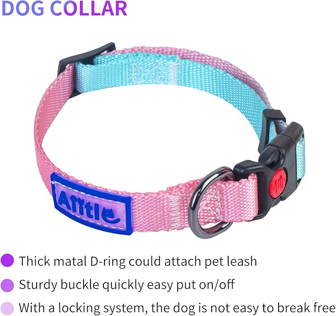 AIITLE No Pull Dog Harness & Leash & Collar - Adjustable Basic Collar with A Heavy Duty Leash - Super Sturdy Buckle and D Ring - Training Running for Large Dogs, Pink Gradient L