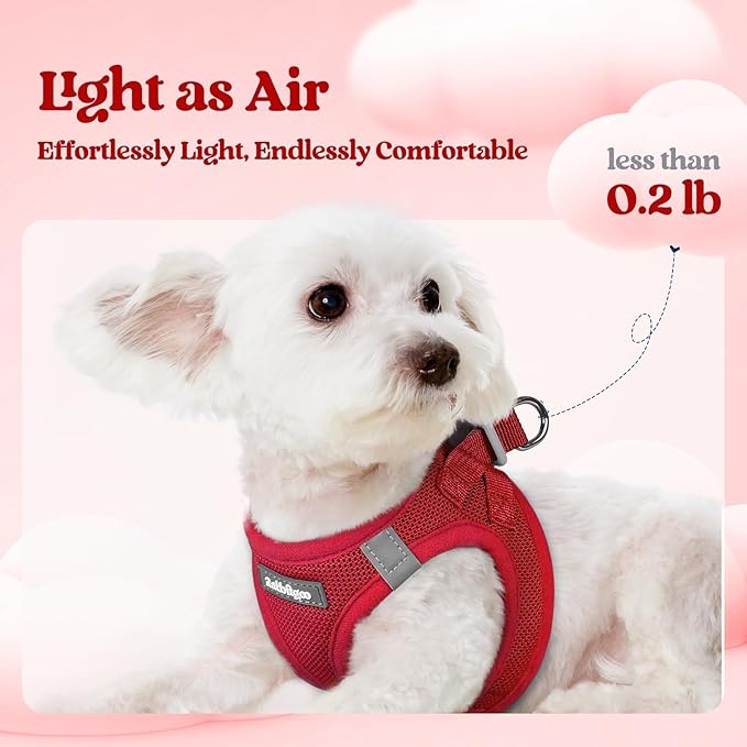 rabbitgoo Dog Harness Small Sized and Leash Set, Step in Soft Light Puppy Vest, Breathable Mesh Pet Harness, Reflective for Safe Easy Walking, Red M