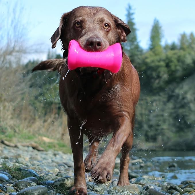 Ruff Dawg Crinkit – Noise-Making Dog Toy – Crinkly, Crunchy Water Bottle Toy for Aggressive Chewers – Fun & Safe Play for Dogs – High-Visibility Neon Colors