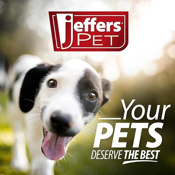 Jeffers Pet Plush Dog Toy with Squeaker, Christmas Snowman 12"- Durable & Safe for Puppies & Dogs, Holiday Stocking Stuffer, Soft Interactive Play, Fetch & Tug Pet Toy, Best Gift for Active Games