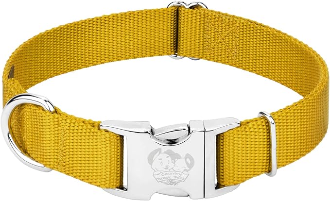 Country Brook Petz - Premium Nylon Dog Collar with Metal Buckle for Small Medium Large Breeds - 10+ Warm Colors (Extra Large, 1 Inch, Gold)