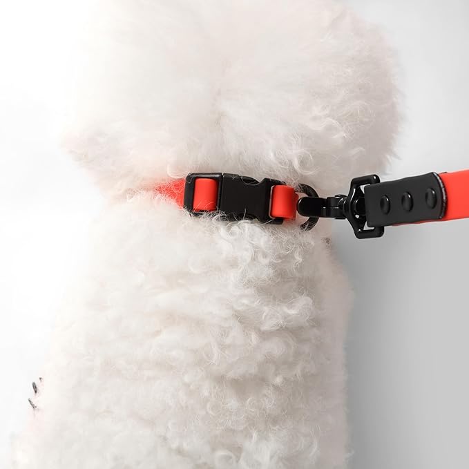 WLK1004M-5SET Luna Small 8FT Adjustable 6-in-1 Waterproof Hands-Free Leash and Collar with LED Flashlight, Bag Dispenser, and Poop Bag Holder, Shirley