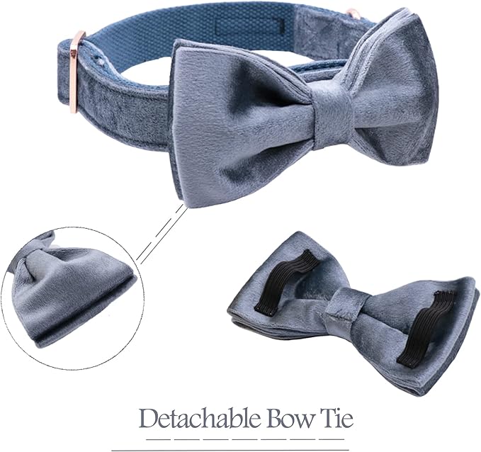 ARING PET Bowtie Dog Collar,Velvet Dog Collars with Detachable Bowtie, Cute &Comfortable Dog Collar, Blue Small.