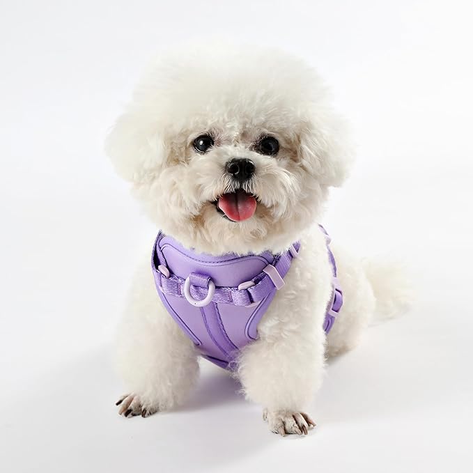 HNS1000H Arlo Extra Small Adjustable Soft Padded No Pull Pet Harness with 3 Buckles and 3 Leash Clips, Bramble