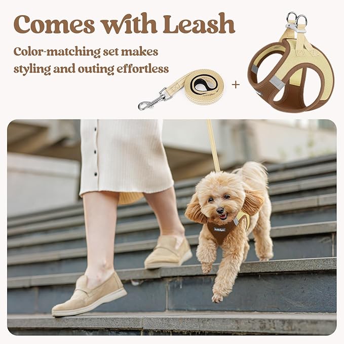 rabbitgoo Dog Harness Small Sized and Leash Set, Step in Soft Light Puppy Vest, Breathable Mesh Pet Harness, Reflective for Safe Easy Walking, Brown & Beige M