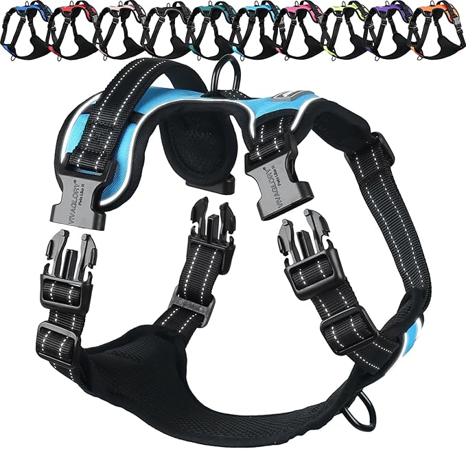 VIVAGLORY Dog Harness Easewalk No Pull Dog Harness with Handle Front Clip & Back Clip for Training Walking Lifting, No Pull Adjustable Easy On Padded Comfortable for Pet, M, Sky Blue - Plain
