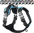 VIVAGLORY Dog Harness Easewalk No Pull Dog Harness with Handle Front Clip & Back Clip for Training Walking Lifting, No Pull Adjustable Easy On Padded Comfortable for Pet, M, Sky Blue - Plain