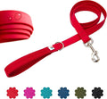Wildebeest Funston Waterproof Dog Leash - Heavy Duty 6ft Long Leash for Small, Medium and Large Dogs - 1000D Nylon Scratch & Stink-Resistant & Pill-Free - Nylon Wrap Handle (3/4" Wide, 6 ft Length)
