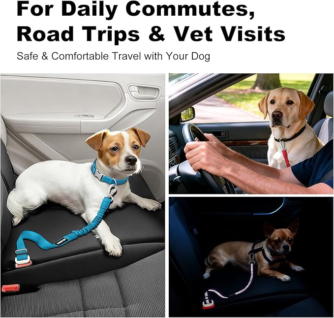 Dog Seat Belt for Car, Adjustable Dog Car Harness Seatbelt for Small Medium Large Dogs, Heavy Duty Travel Safety Restraint with Locking Aluminum Hook & Reflective Nylon Strap, Ranger Green
