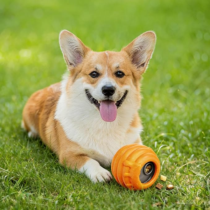Dog Enrichment Toy for Aggressive Chewers - Interactive Dog Puzzle Toy for Boredom - Durable Nylon Honey Pot Treat Dispenser & Slow Feeder - Frozen Lick Toy with Removable Cups, Orange