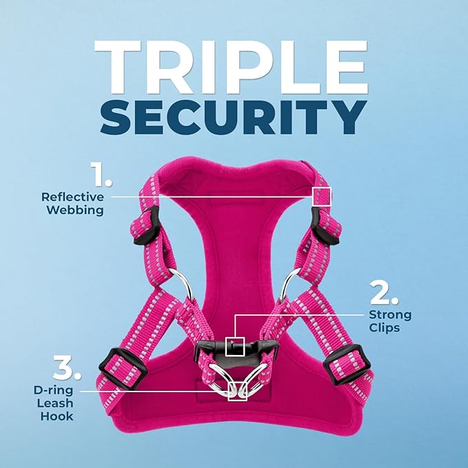 Best Pet Supplies Voyager Adjustable Step-in Flex Breathable Mesh Dog Harness for Small Medium Large Dogs Leash Set (Fuchsia), M