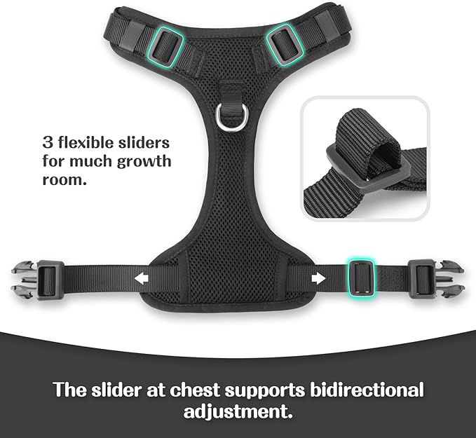 No Pull Dog Harness for Small Medium Large Dogs - Adjustable 2 Layer Mesh Dog Vest with Dual Clip, Escape Proof, Quick Release, Lightweight Breathable Mesh for Walking Hiking (Black,XS)