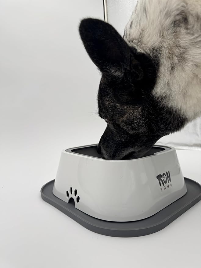 No Spill Dog Water Bowl Spill Proof & No Splash Design, Slow Drinking Dog Bowl for Home, Car & Travel, Mess-Free Water Bowl for Small, Medium & Large Dogs
