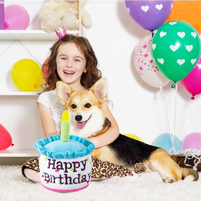 Dog Birthday Cake Toy, Happy Birthday Cake Shaped Squeaky Dog Toys for Medium & Large Dogs Funny Dogs Gifts Plush Dog Party Toys, Large, Blue